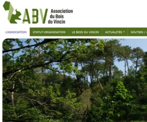 Association du Bois du Vincin - Vannes